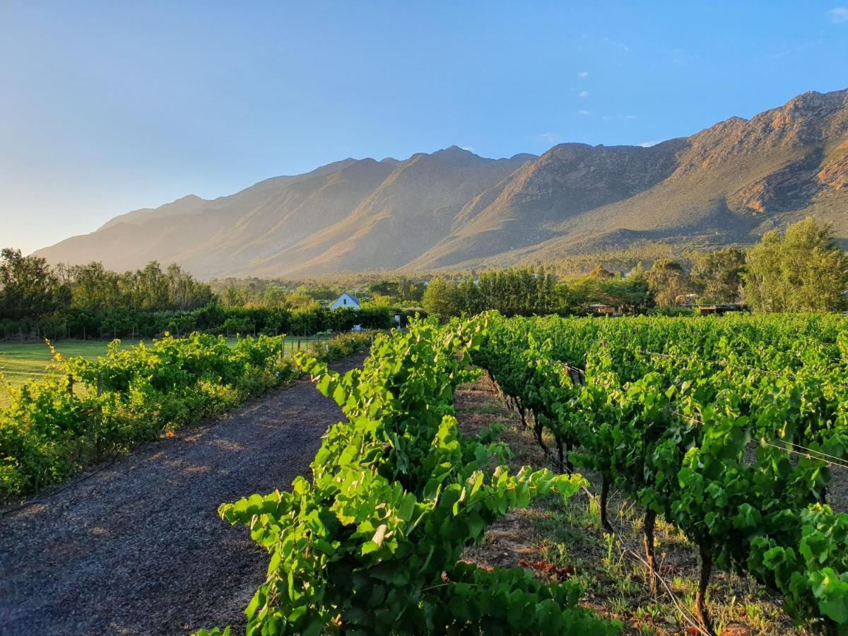 Hotel Klein Nektar Wine & Olive Estate Montagu Exteriér fotografie