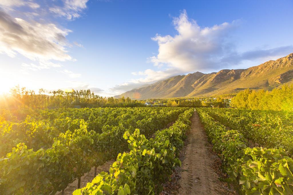 Hotel Klein Nektar Wine & Olive Estate Montagu Exteriér fotografie